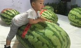 吃瓜群众王大头,揭秘娱乐圈背后的那些事儿